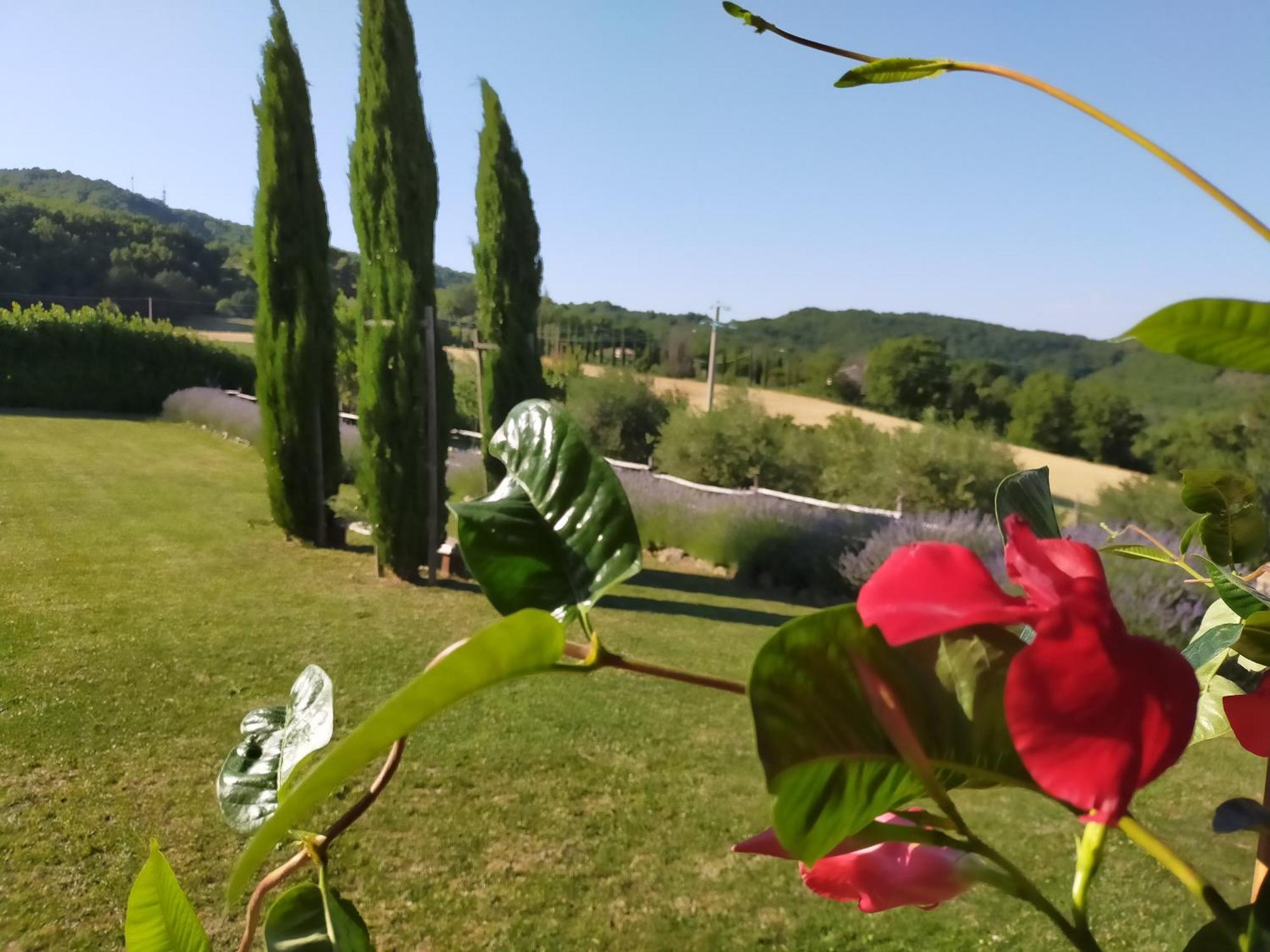 Suite Assisi Kültér fotó